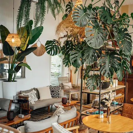 Aqua 3* コンスタンツ